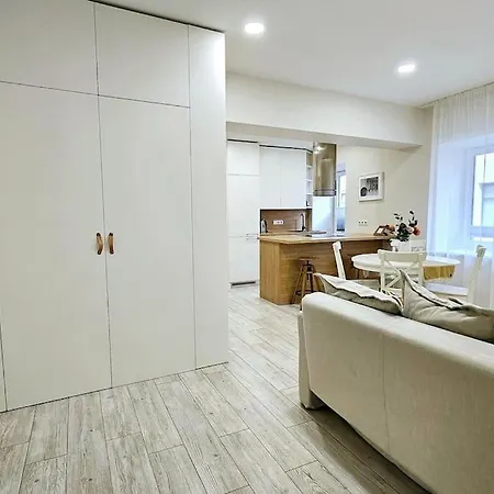 Apartment Stylist 1 Bd By Hostlovers Kaunas
