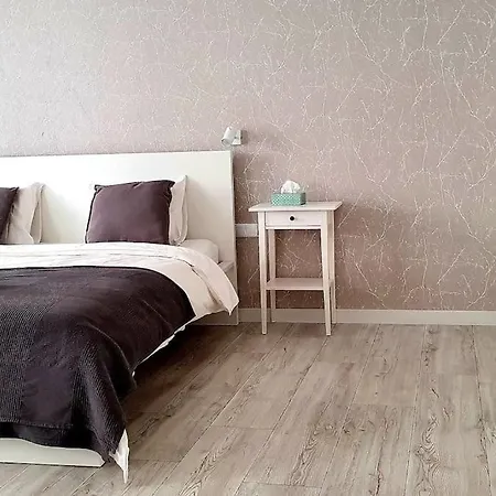 Apartment Stylist 1 Bd By Hostlovers Kaunas